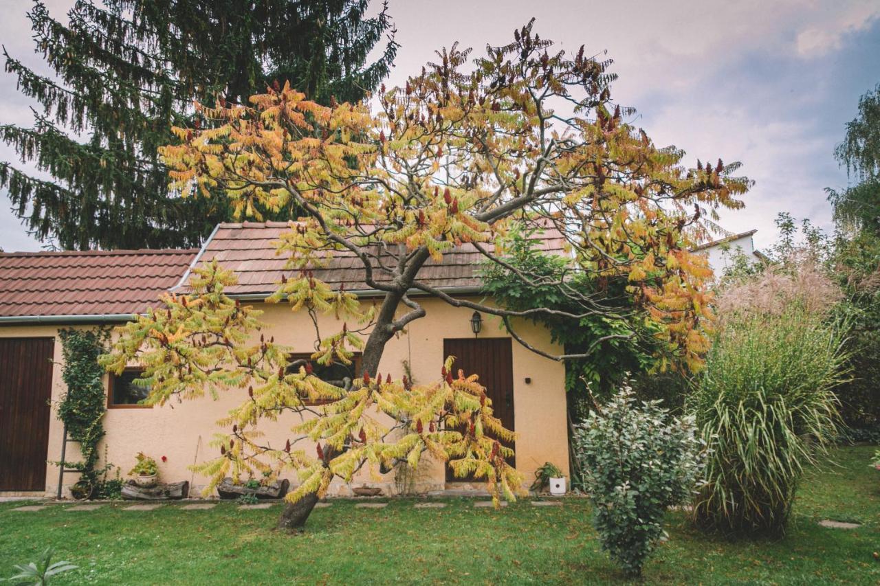 Pannónia property Göd Exterior foto